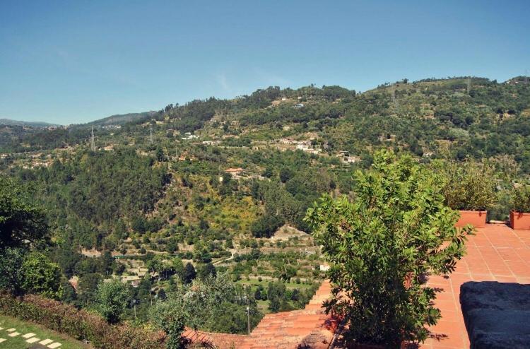 Villa Quinta Do Freixieiro Cinfães Esterno foto