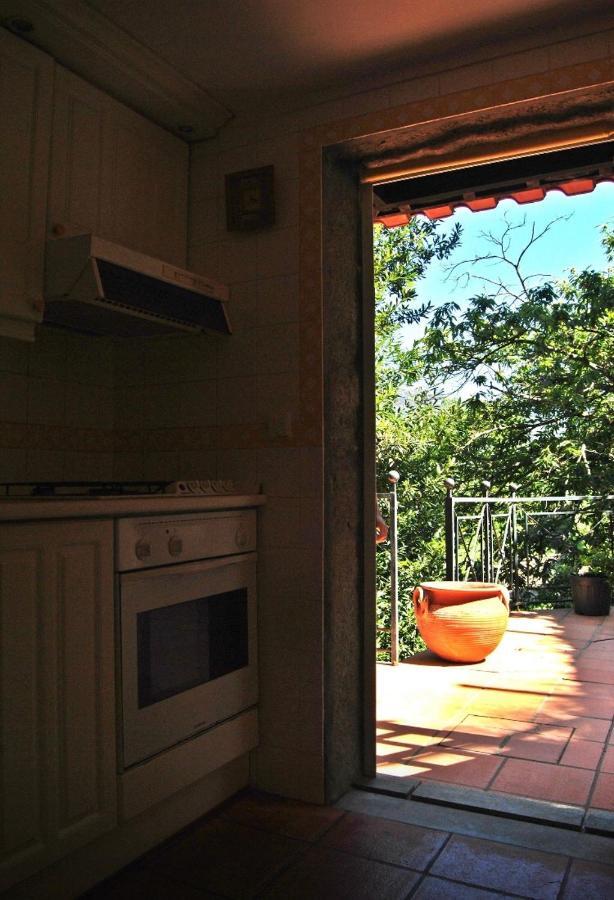 Villa Quinta Do Freixieiro Cinfães Esterno foto