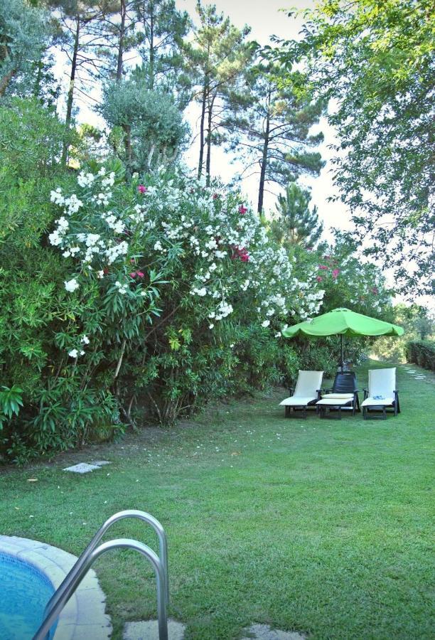Villa Quinta Do Freixieiro Cinfães Esterno foto